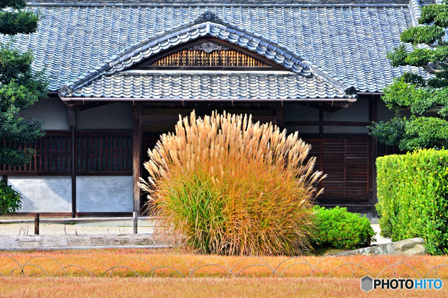 秋色岡山後楽園