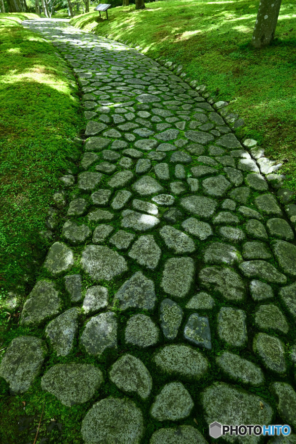 素晴らしい石段