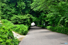 丸亀城 見返り坂