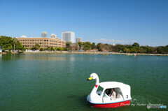 大濠公園にて