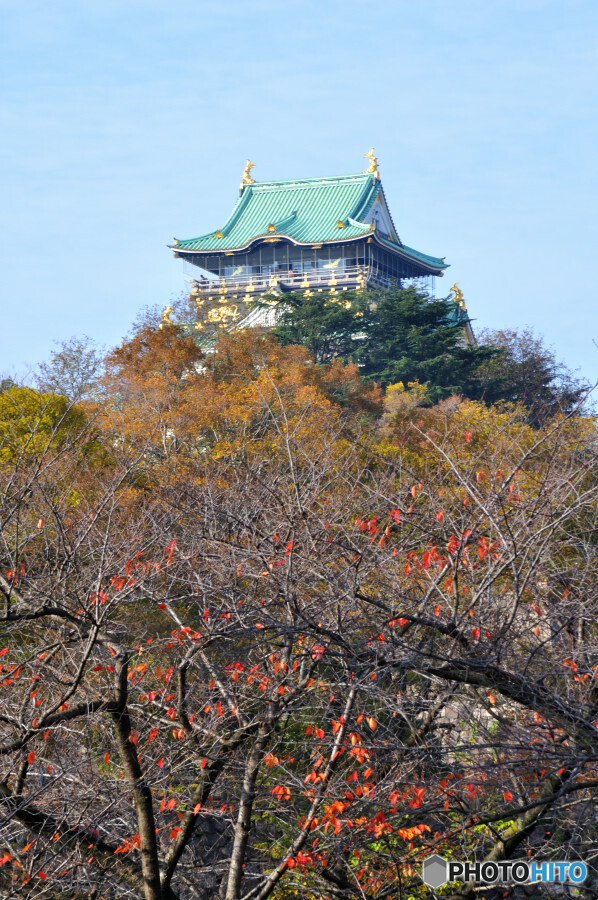 大阪城天守閣を臨む