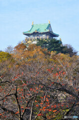 大阪城天守閣を臨む