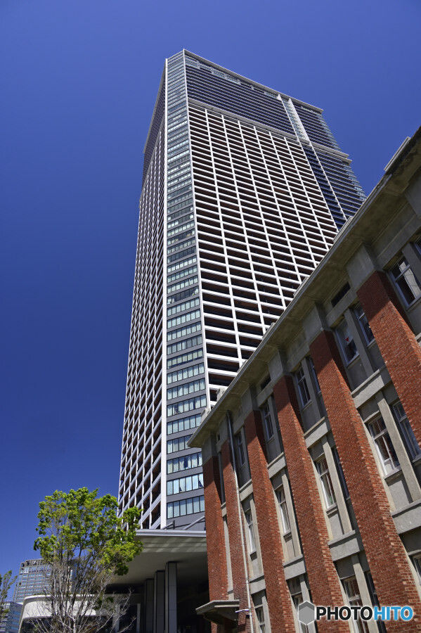 北仲ノットを仰ぎ見て