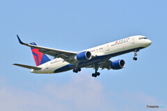 Delta Air Lines