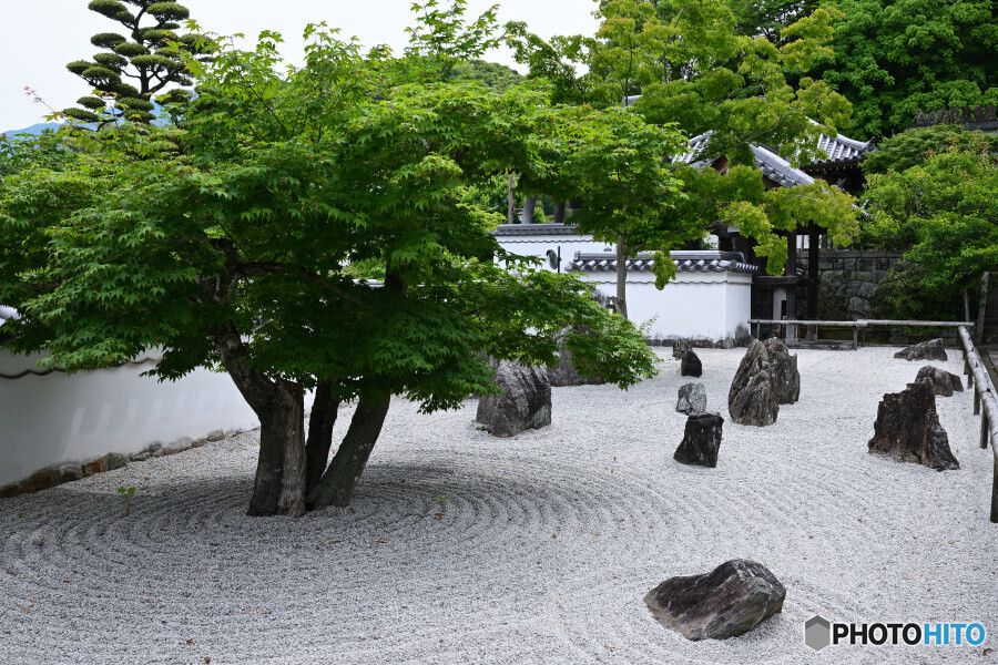 光明禅寺