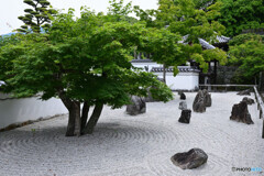 光明禅寺