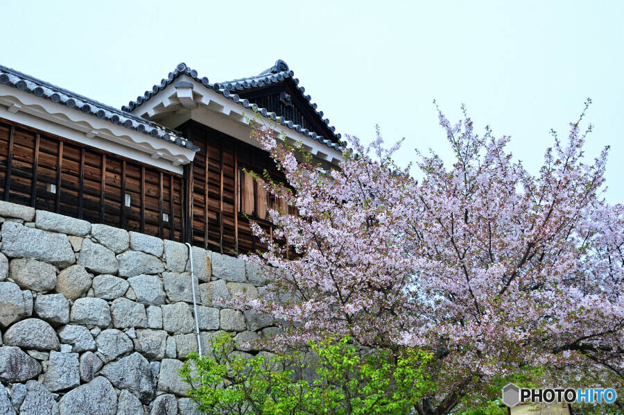 松山城