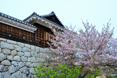 松山城