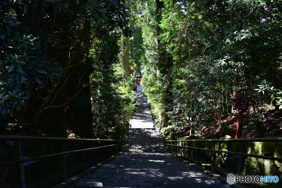 箱根神社の正参道