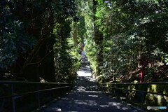 箱根神社の正参道