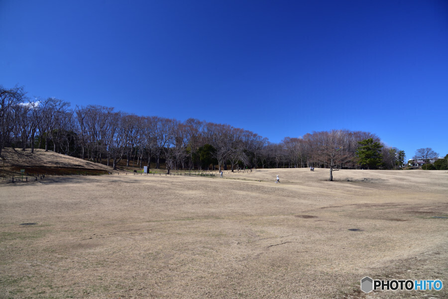 根岸森林公園