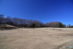 根岸森林公園