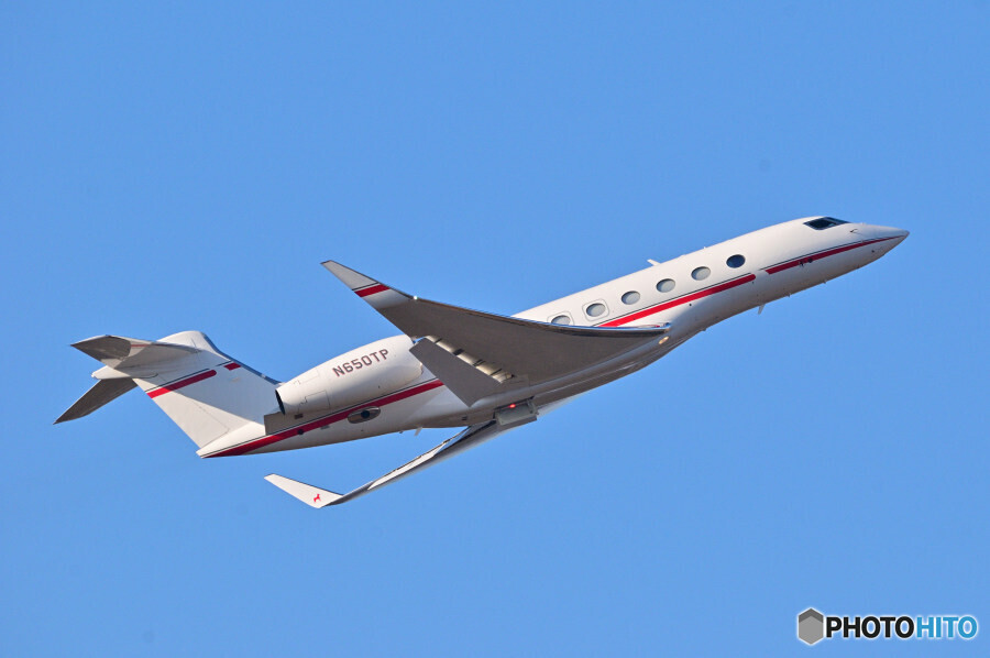 Big Dog Aviation Llc