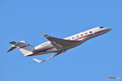 Big Dog Aviation Llc
