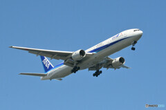 All Nippon Airways
