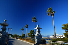 江の島大橋にて