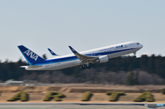 All Nippon Airways