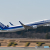 All Nippon Airways