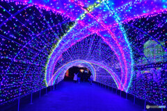 ジュエルミネーション