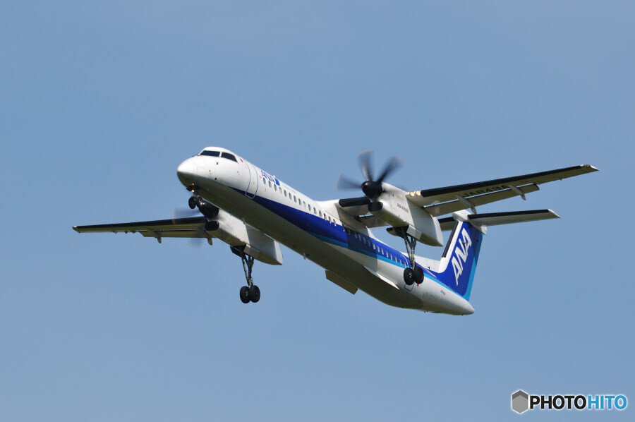 ANA Wings