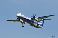 ANA Wings