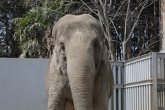 宇都宮動物園