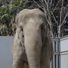 宇都宮動物園
