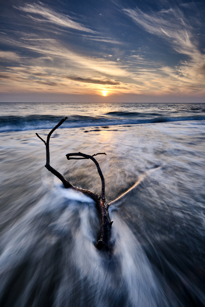 WAVE
