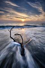 WAVE