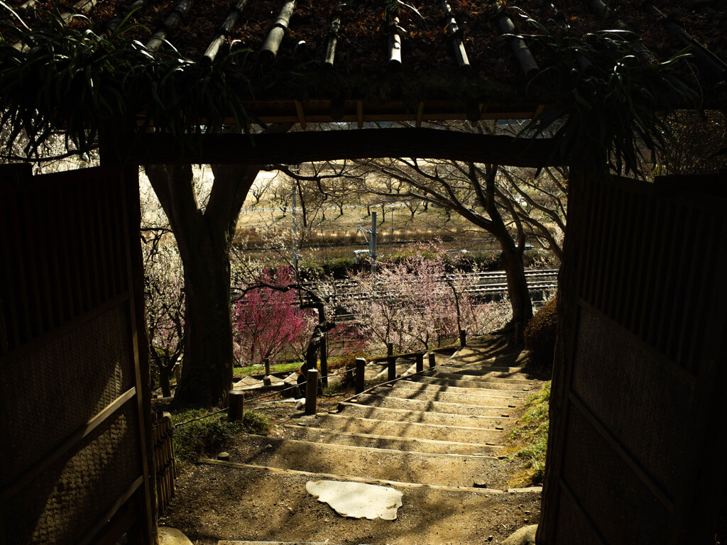 春