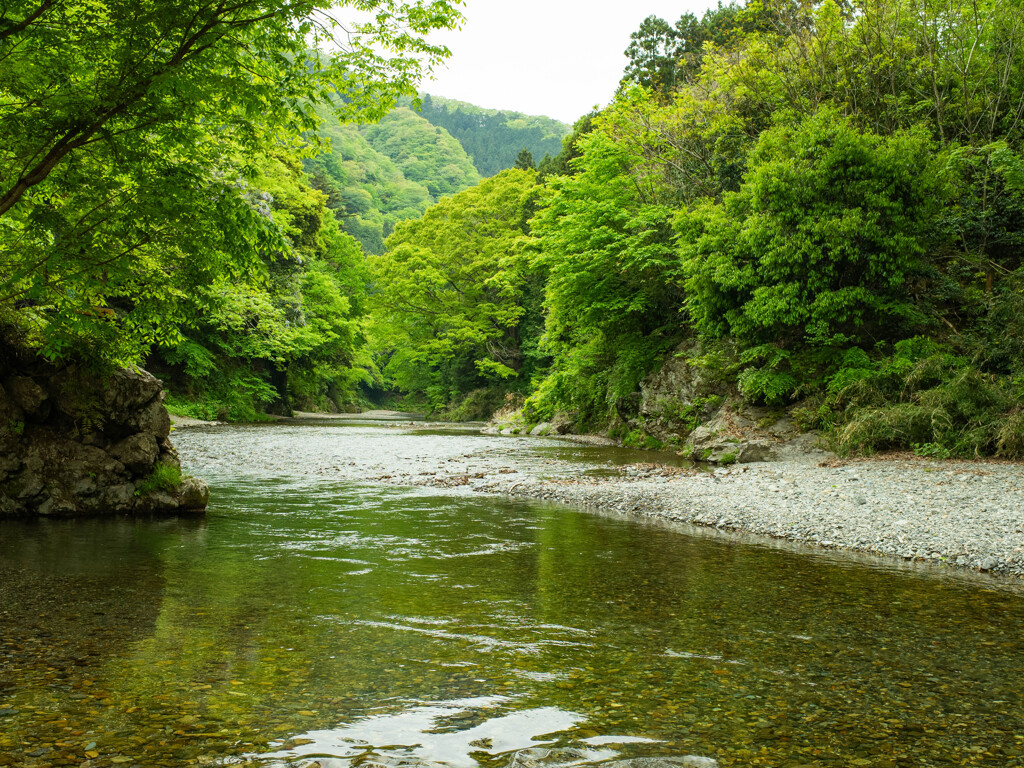 新緑の奥多摩界隈にて