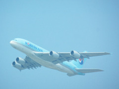 大韓航空の大きなジェット機｡a380