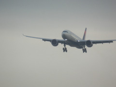 デルタのエアバス機