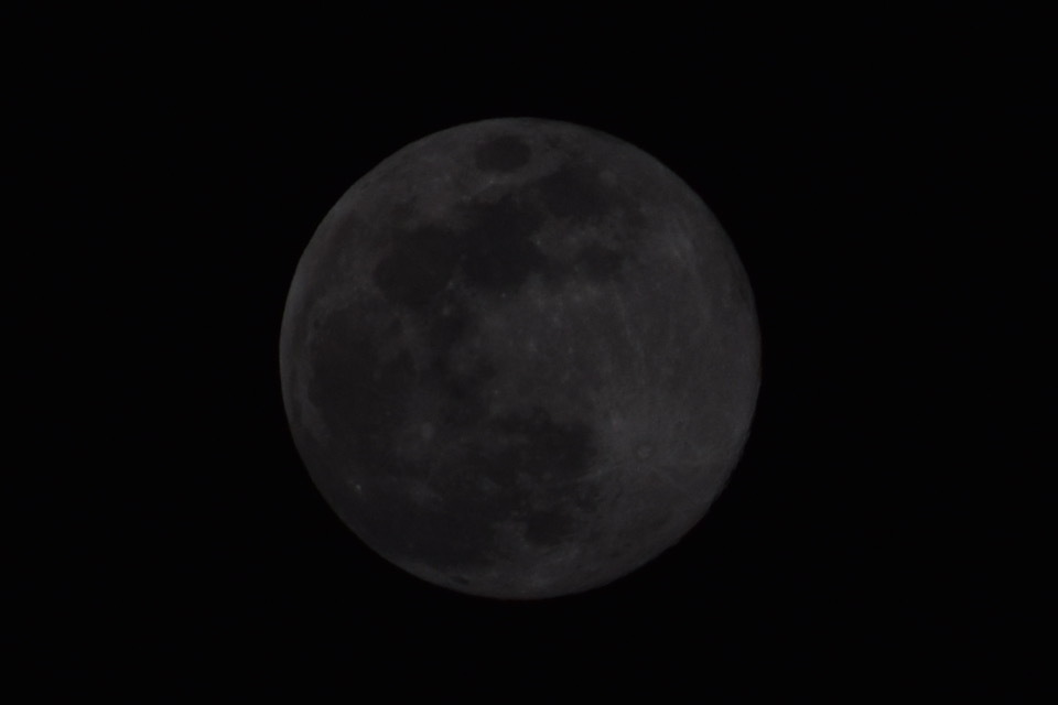 おつきさま