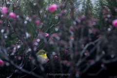 IMG_20240121_204929_434