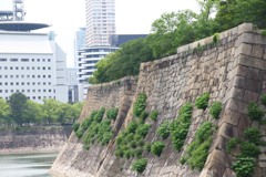 露と落ち　露と消えにし　我が身かな