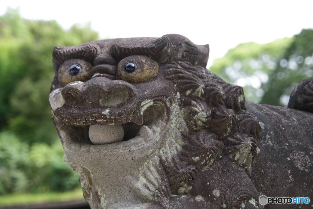 シーサーっぽい狛犬