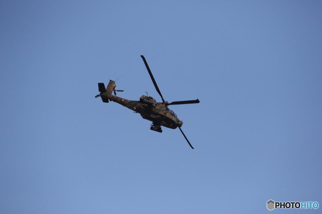 アパッチ(2023.築城)