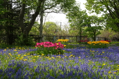 札幌　百合が原公園