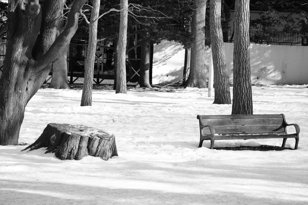 ベンチと切り株