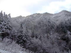 初雪