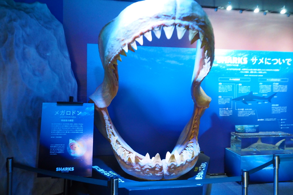 江ノ島水族館