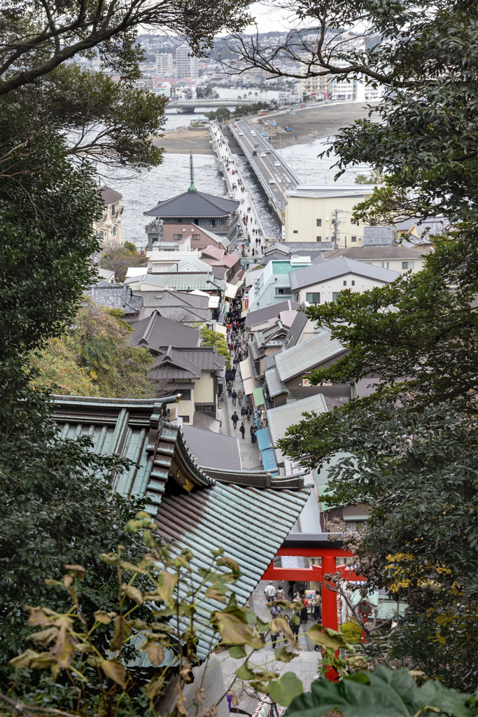 251221_江島神社参道1