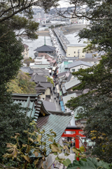 251221_江島神社参道1