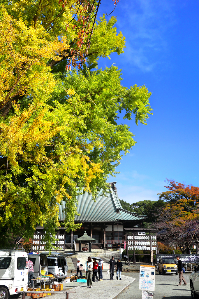 241117_遊行寺_骨董市