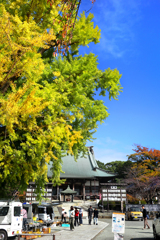 241117_遊行寺_骨董市