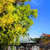 241117_遊行寺_骨董市
