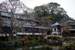 250312_遊行寺の放生池