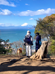 250208_富士山と江ノ島眺望_その1