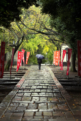 241028_雨のいろは坂